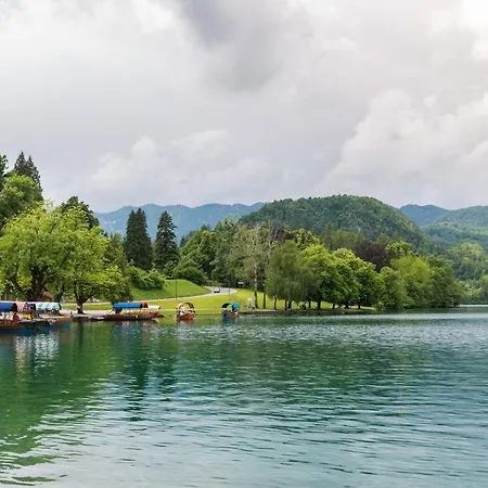 Počitniška hiša Jezero - Riverside *
