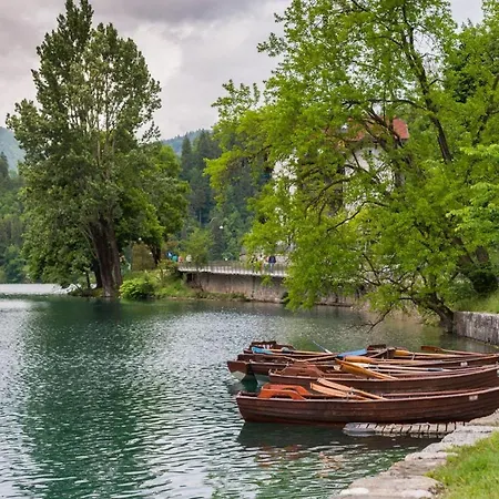 Počitniška hiša Jezero - Riverside Bled